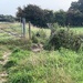 Any further?
