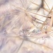 Turmoil~~~~