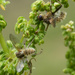 20240625-OM_093306-Edit_365