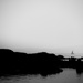 A boat