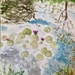 Right on the Monet