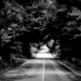 Mysterious Road