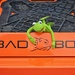 Bad Boy