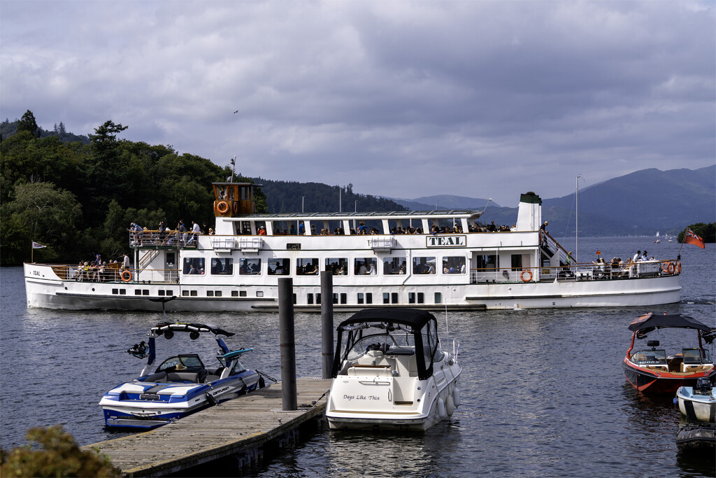 The Teal by pcoulson