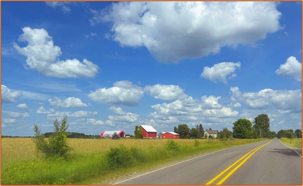 Country roads, take me home by 365projectorgchristine