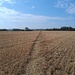 Public footpaths