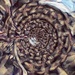 Textural Abstract