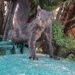 Cute Squirrel