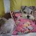 Maisie Most Comfortable