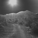 desert path