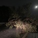 It Was Windy!!