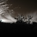 Sunset with festooned trees...SOOC IR