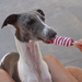 Elsie : 31C a lady need an ice lolly 