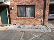 14th Aug 2025 - Ready