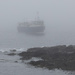 Through the Mist