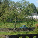 field