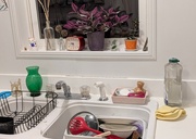 14th Aug 2025 - It's that time again