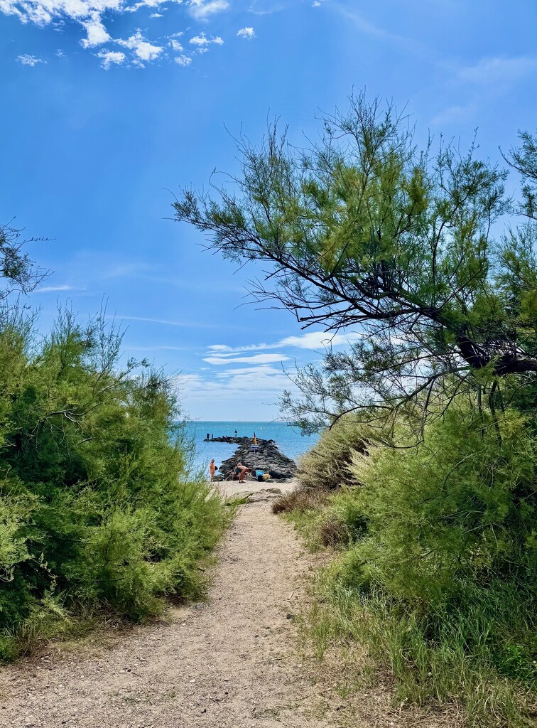 To the beach.  by cocobella