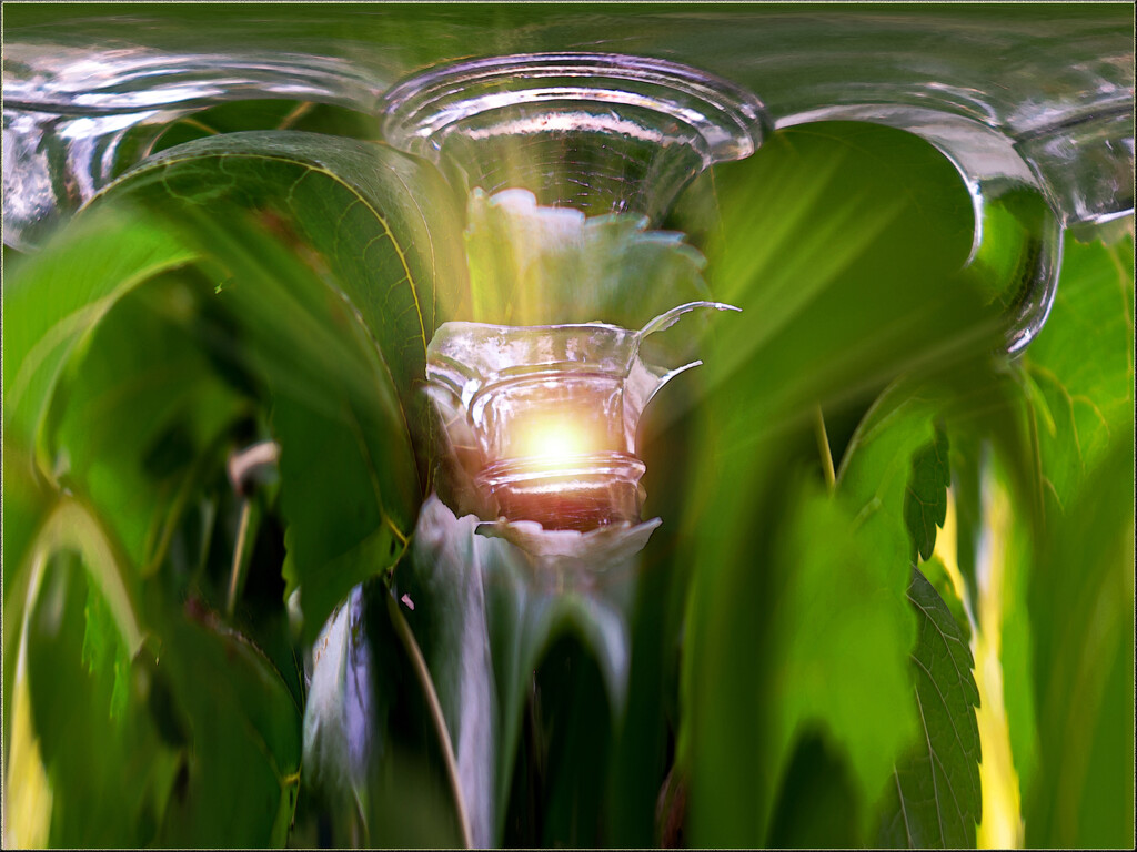 Embrace your inner light by 365projectorgchristine