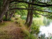 16th Aug 2025 - 69/365