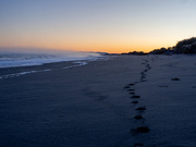 4th Aug 2025 - I haven’t been drinking- honest!