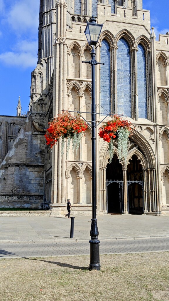 Hanging basket by nickrh14