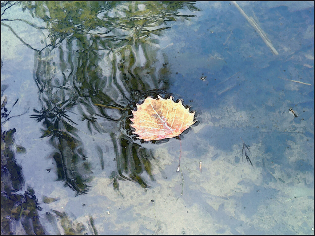 The day is just floating by by 365projectorgchristine