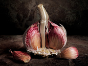 17th Aug 2025 - 70/365