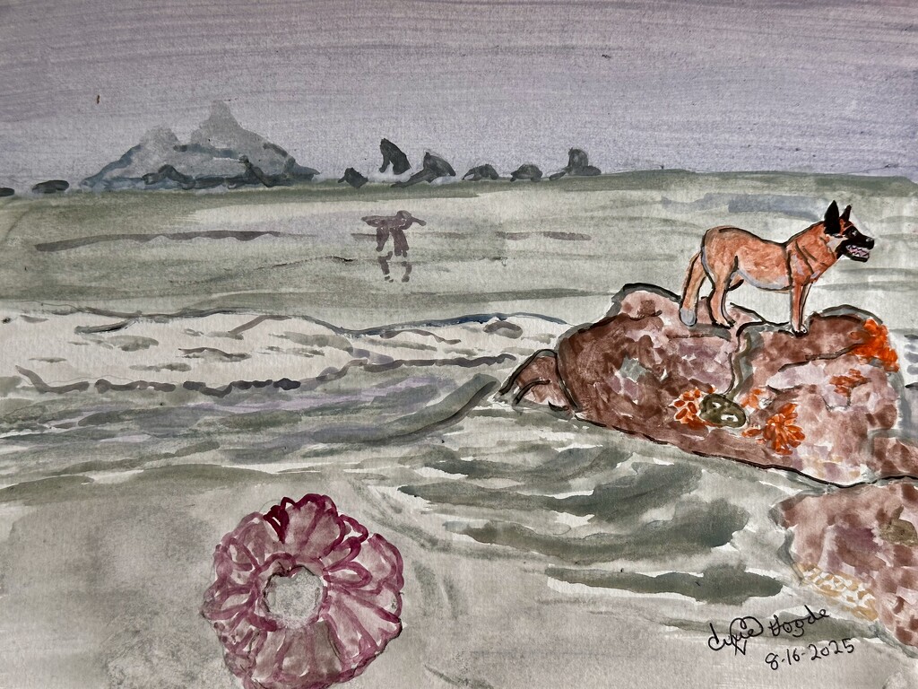 Lion’s mane jellyfish  by pandorasecho