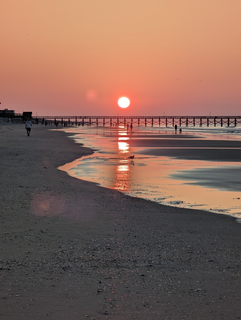 Upsidedown ! by photohoot