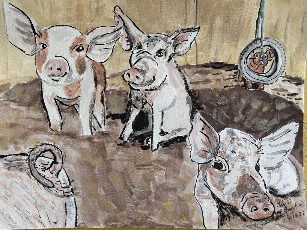 Piglets  by pandorasecho