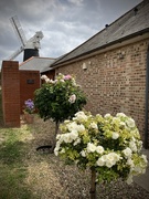 19th Aug 2025 - Neighbour’s House 