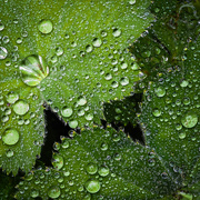 19th Aug 2025 - 72/365