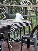 20th Aug 2025 - A Splash of Colour 