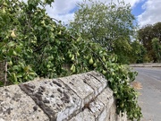 20th Aug 2025 - Laden 