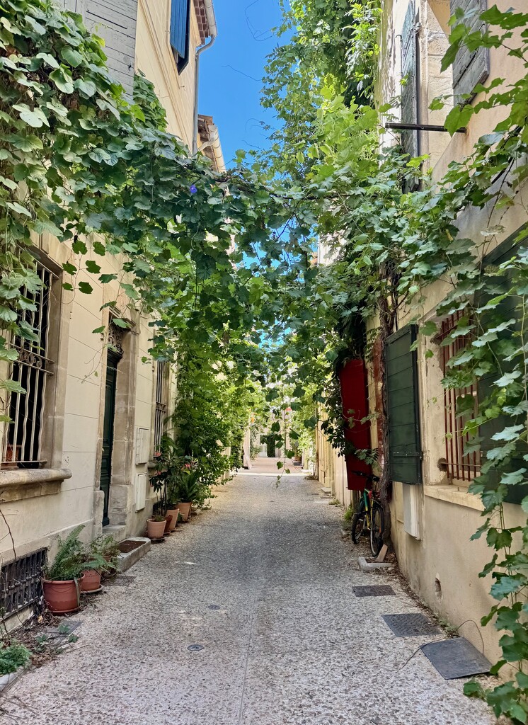 Green street.  by cocobella