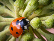 21st Aug 2025 - 74/365