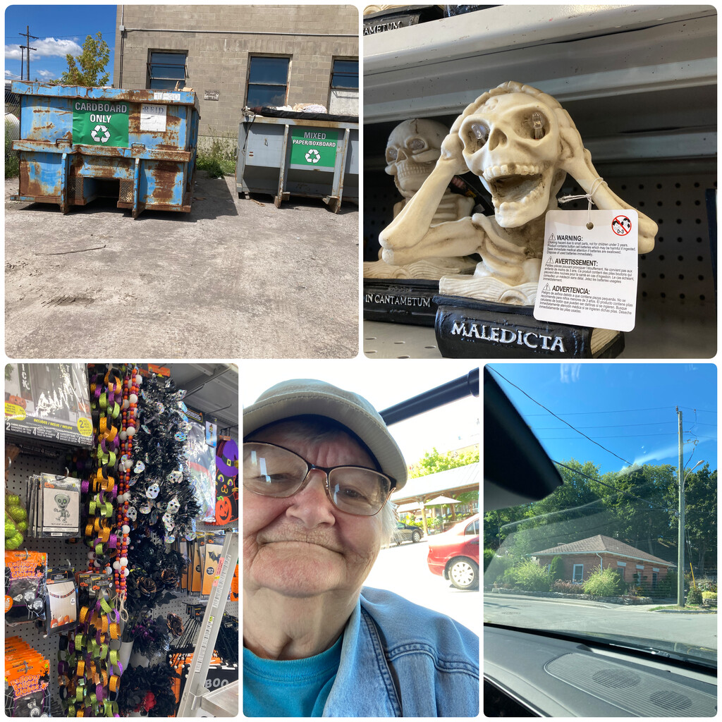 On My Walk (Outing) Today by spanishliz