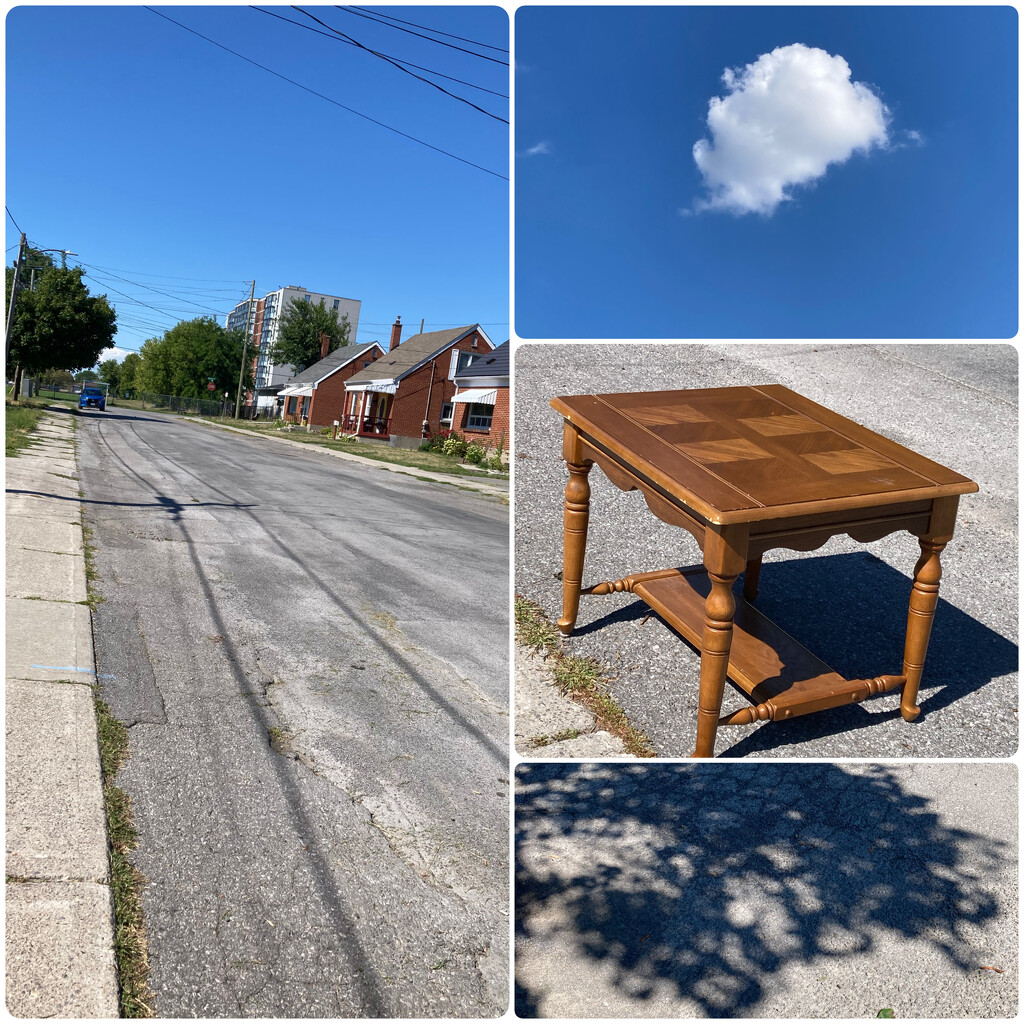 On My Walk Today (Aug 22) by spanishliz