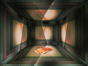 23rd Aug 2025 - 76/365