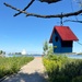 Boardwalk_Birdhouse