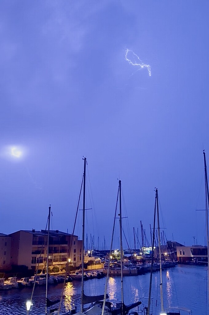 Tiny flash.  by cocobella