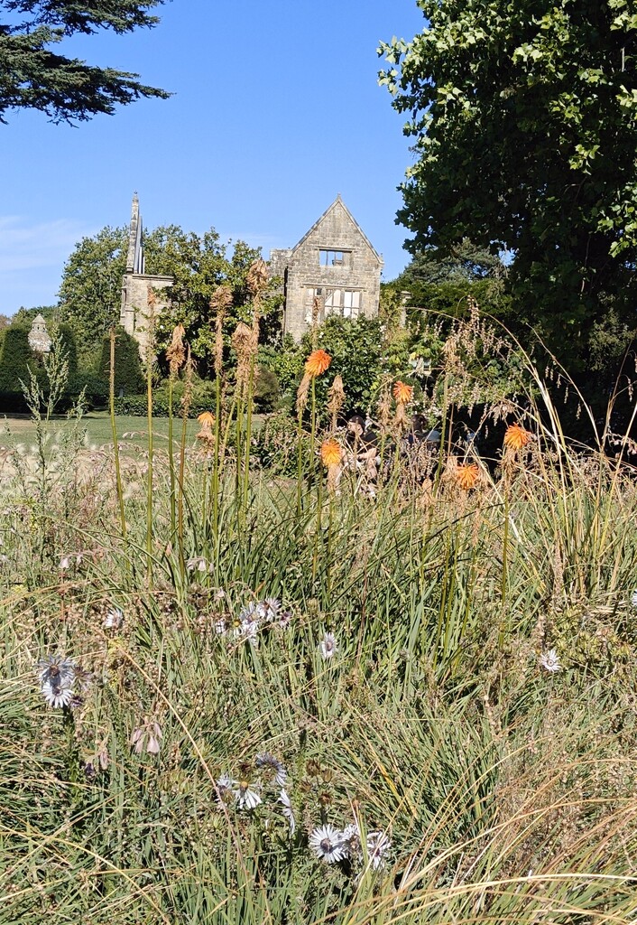 Red hot Nymans by nickrh14