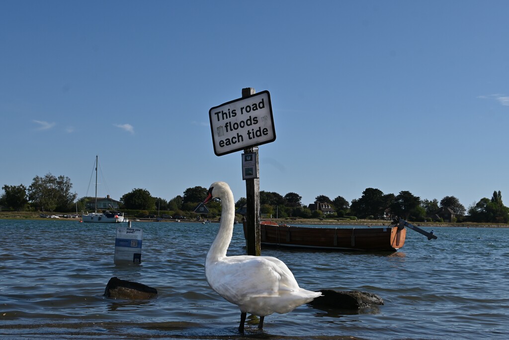 High tide at Bosham by wakelys