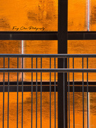 16th Aug 2025 - Day228