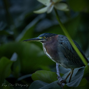 23rd Aug 2025 - Day235