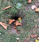 26th Aug 2025 - Hole 