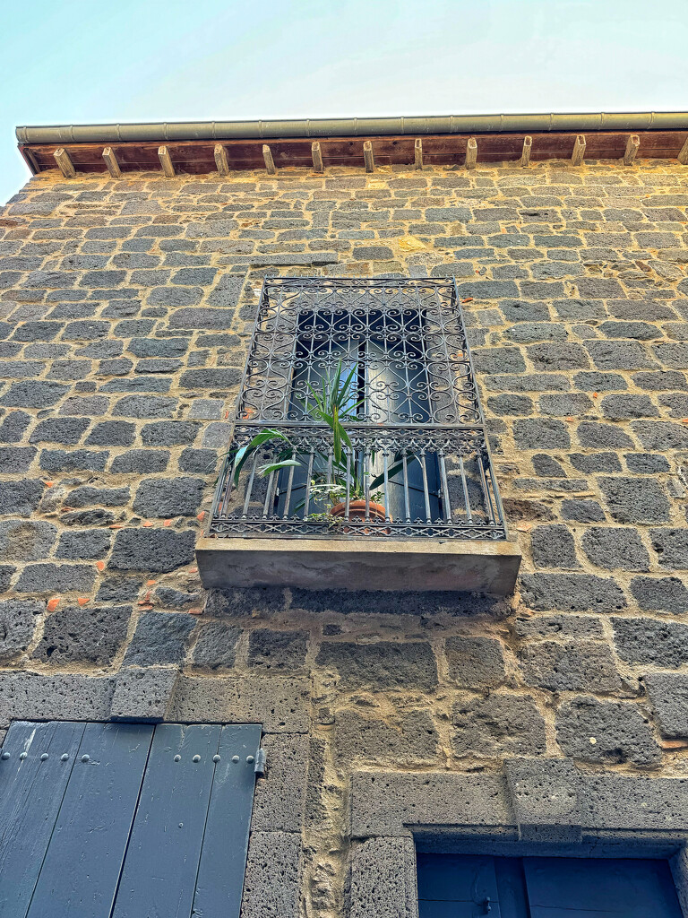 A lot of hearts up there.  by cocobella