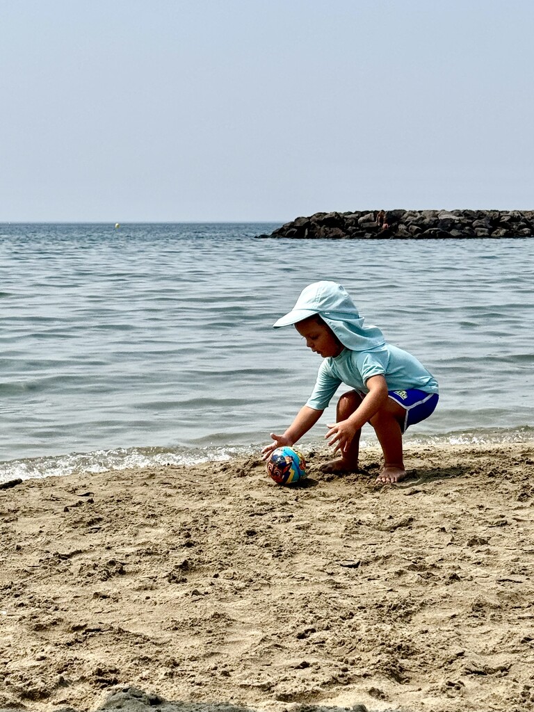 Focused.  by cocobella