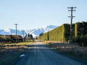16th Aug 2025 - Down the garden path
